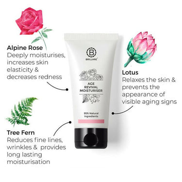 https://cdn.shopify.com/s/files/1/1857/6931/products/Z7ipfYW223.jpg?v=1686227816
